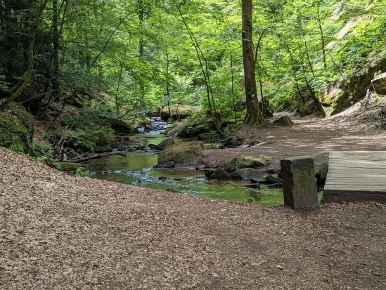 Karlstalschlucht Trippstadt 
23. Juli 2023